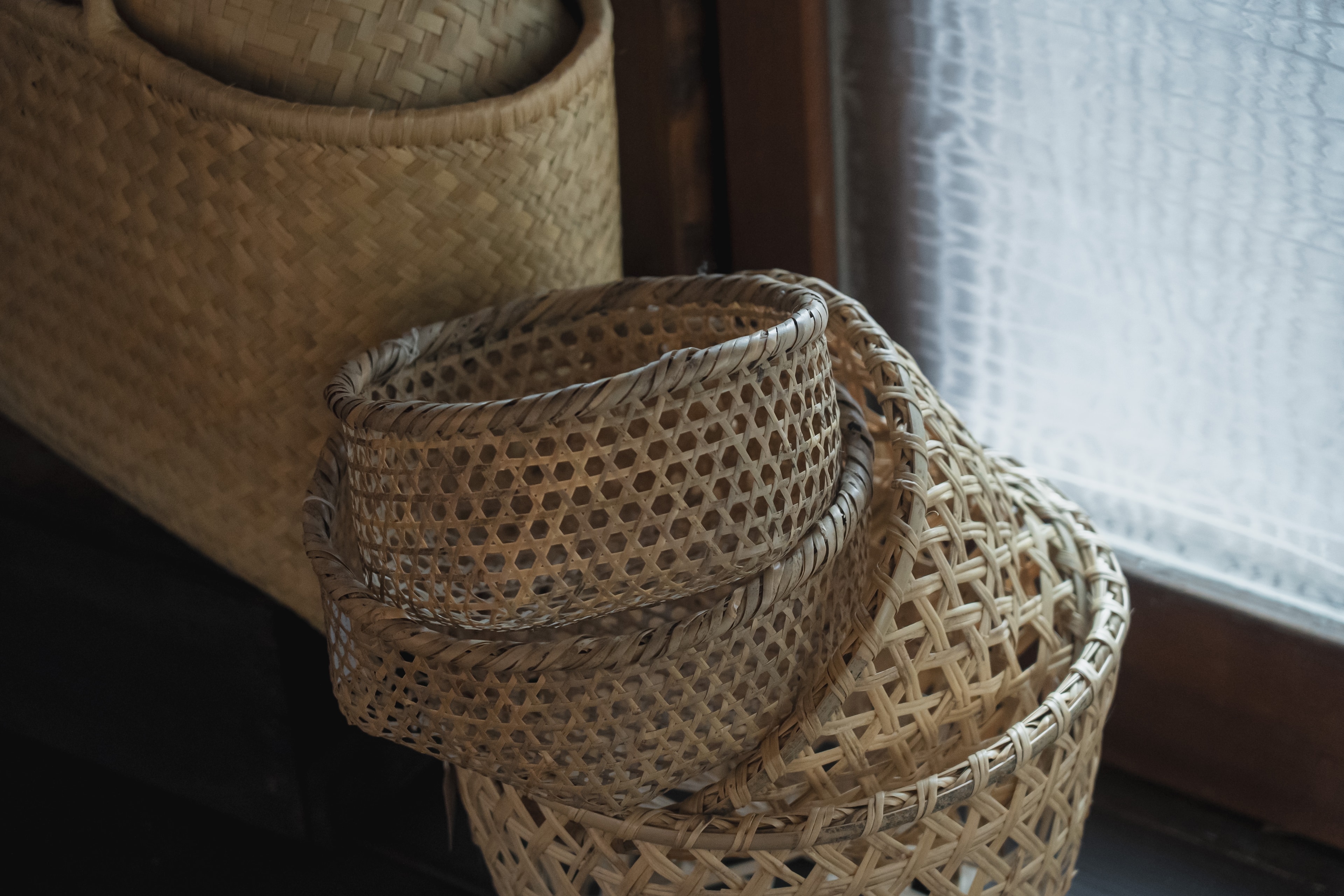 Picture of the author