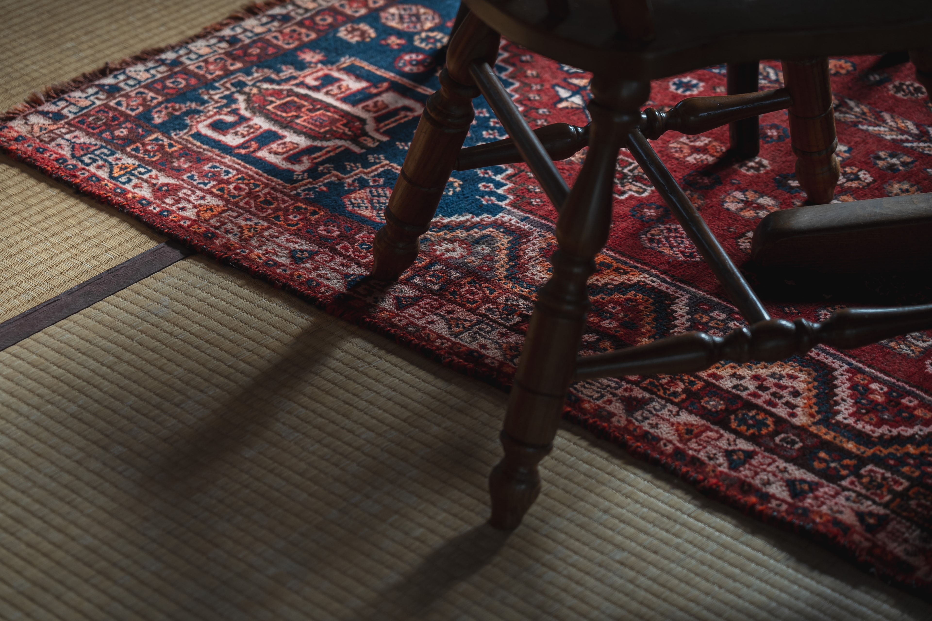 Picture of the author