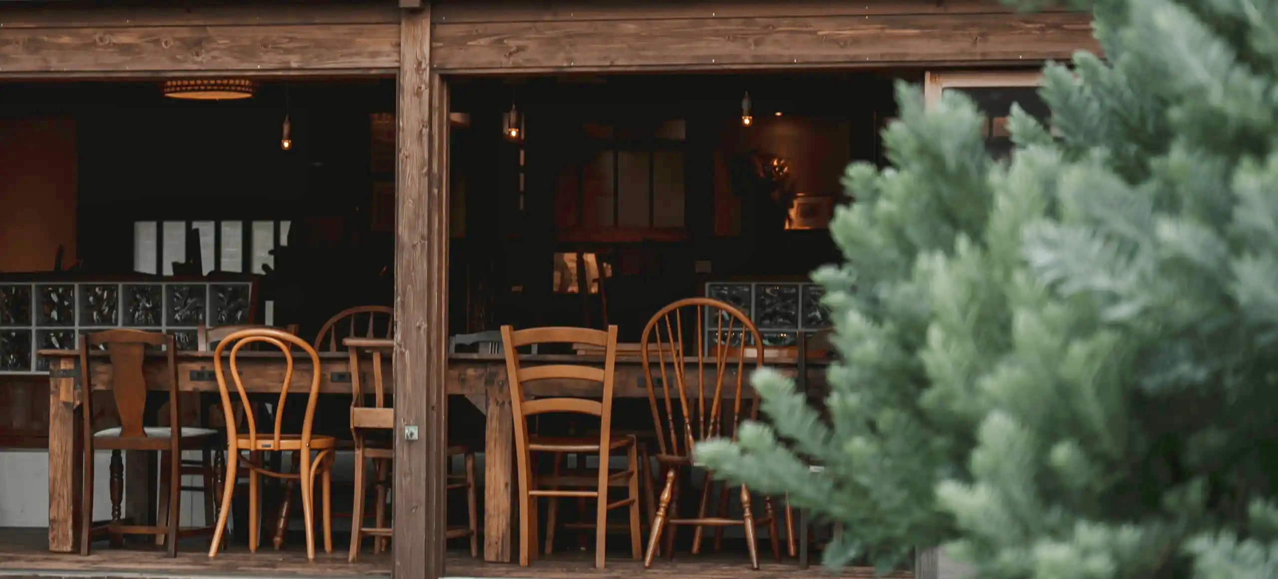 Picture of the author