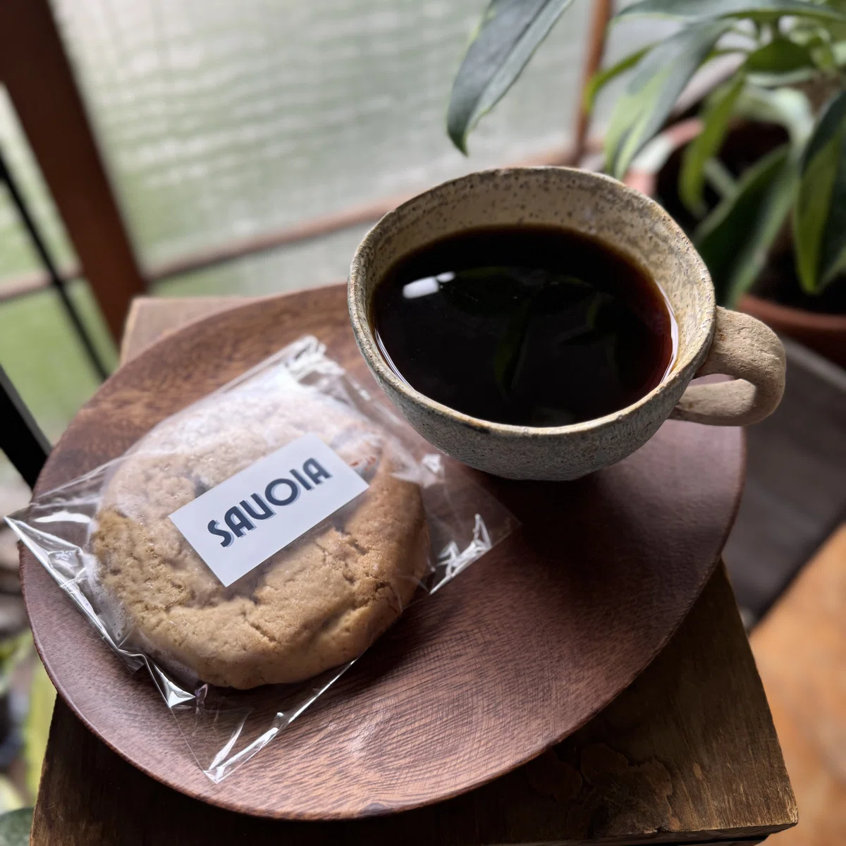 Picture of the author