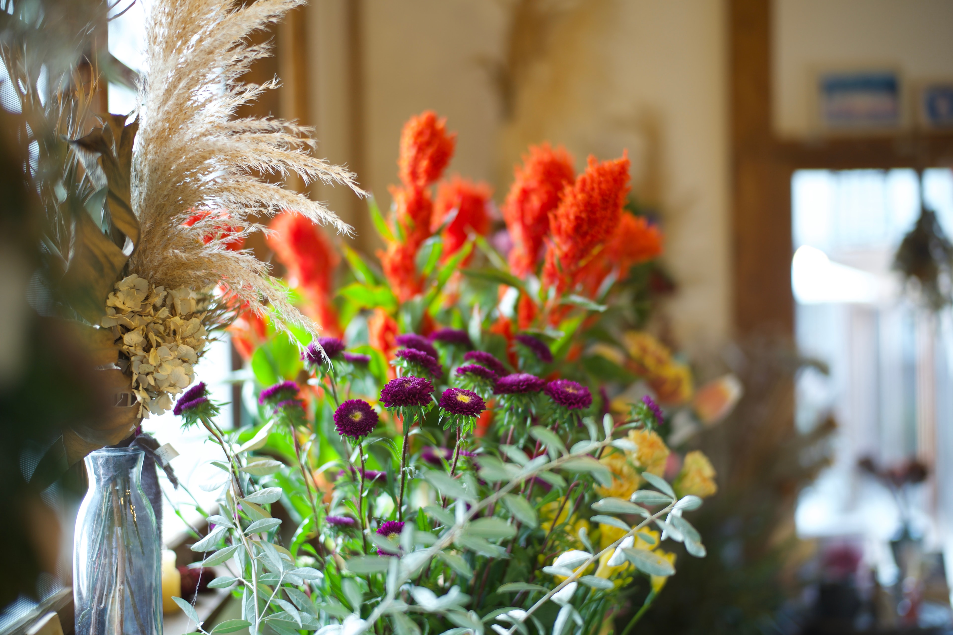 Picture of the author