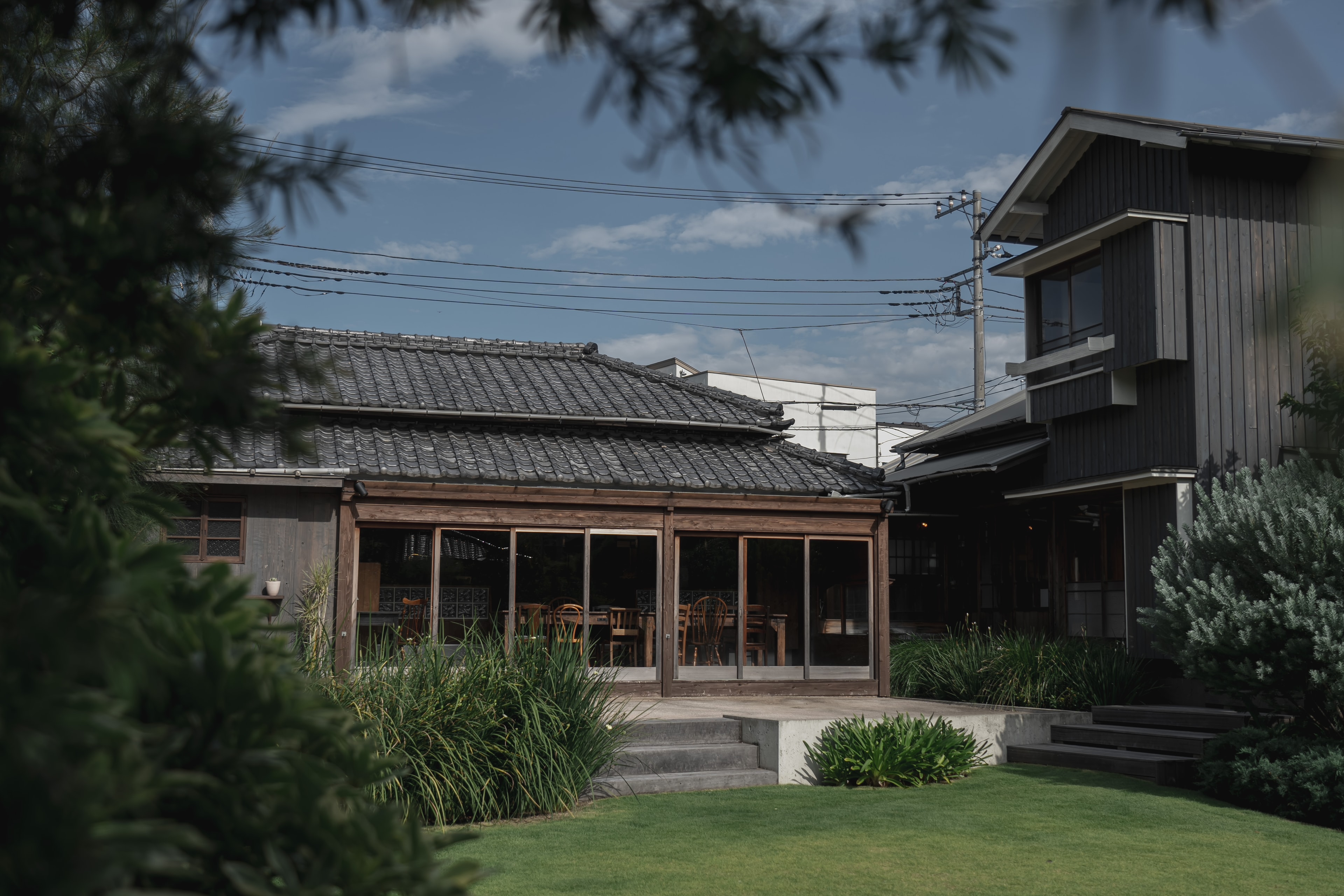 Picture of the author