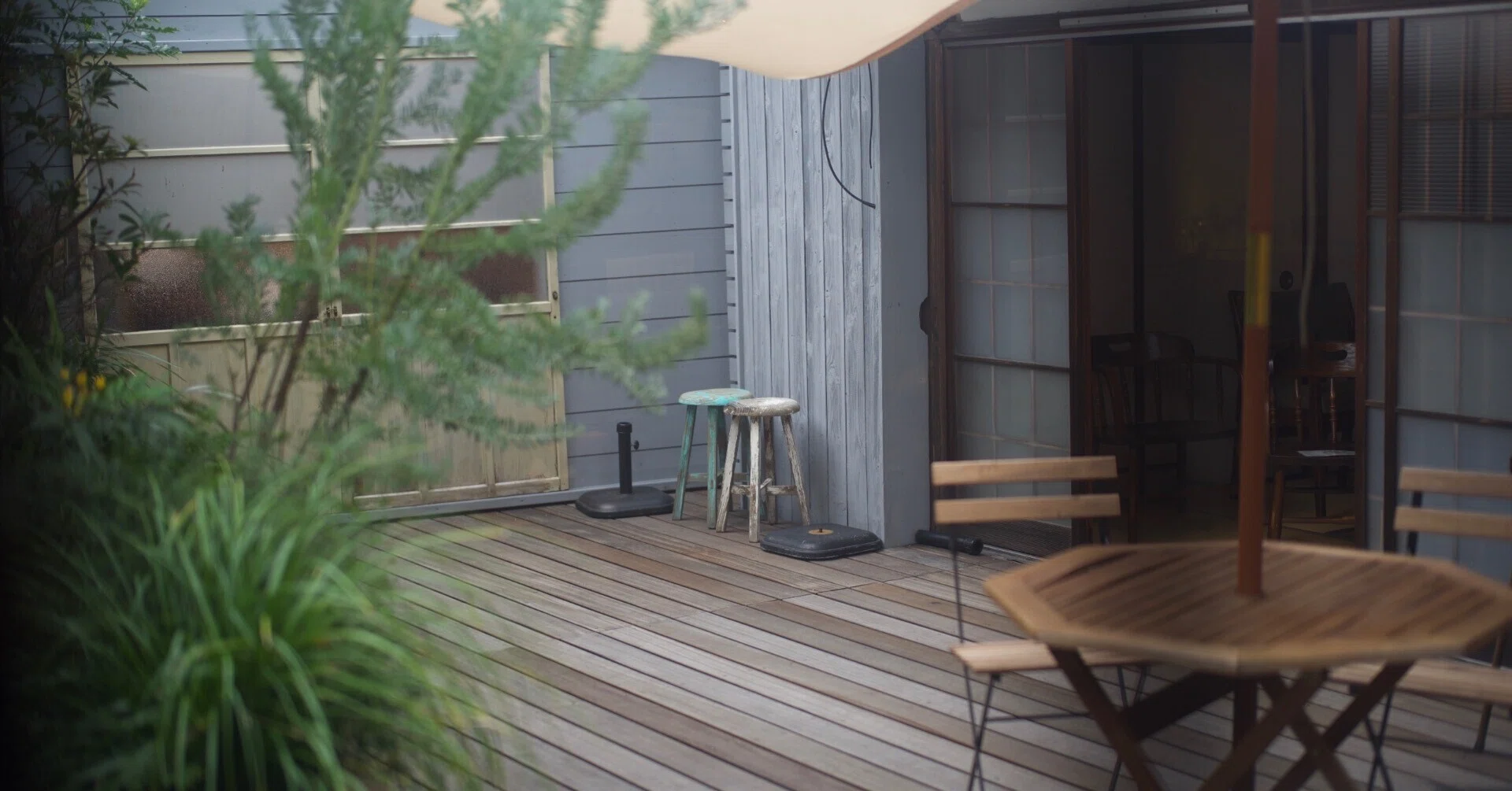 Picture of the author