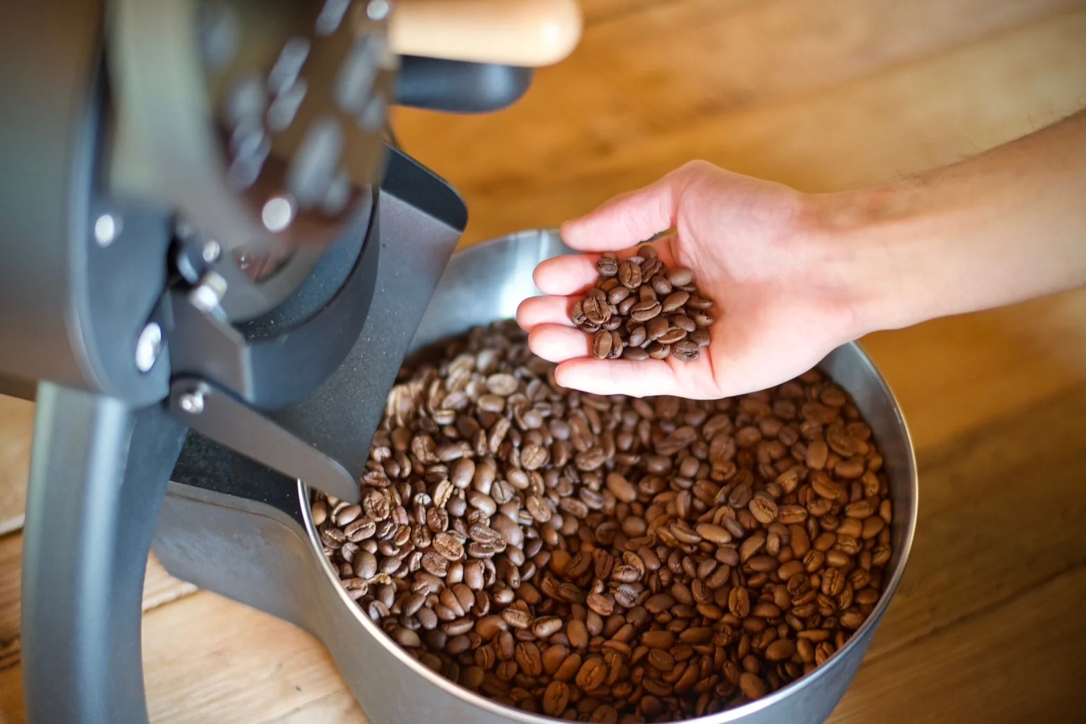 Picture of the author