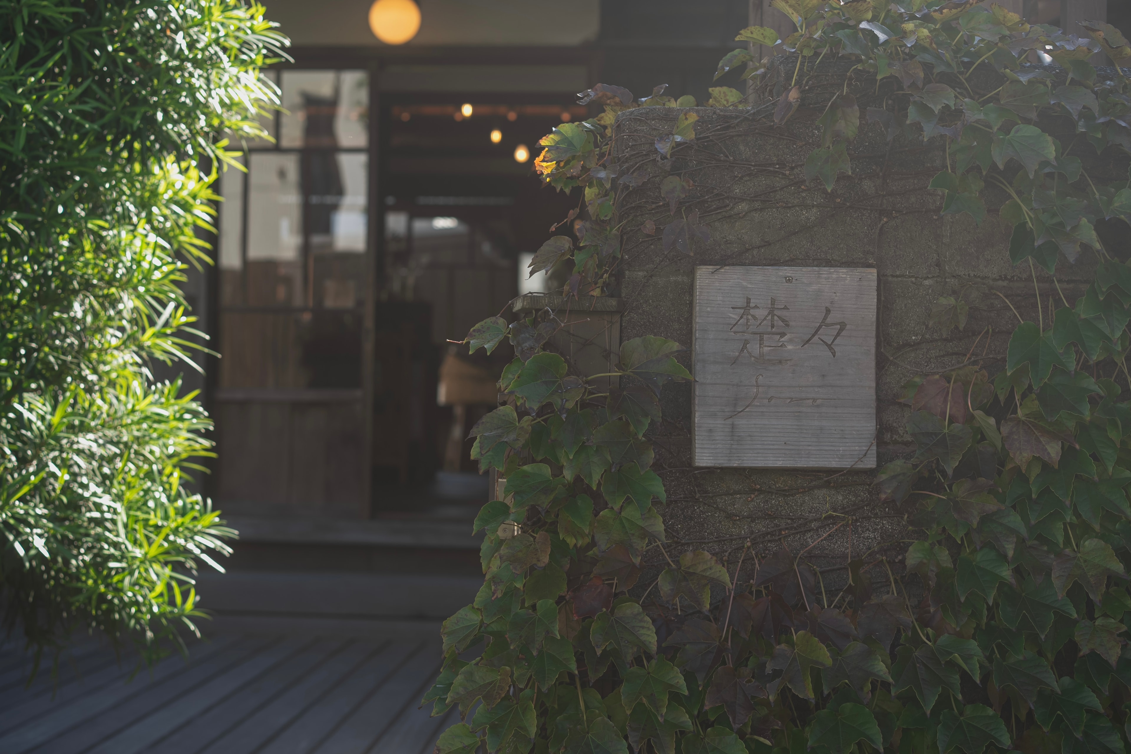 Picture of the author