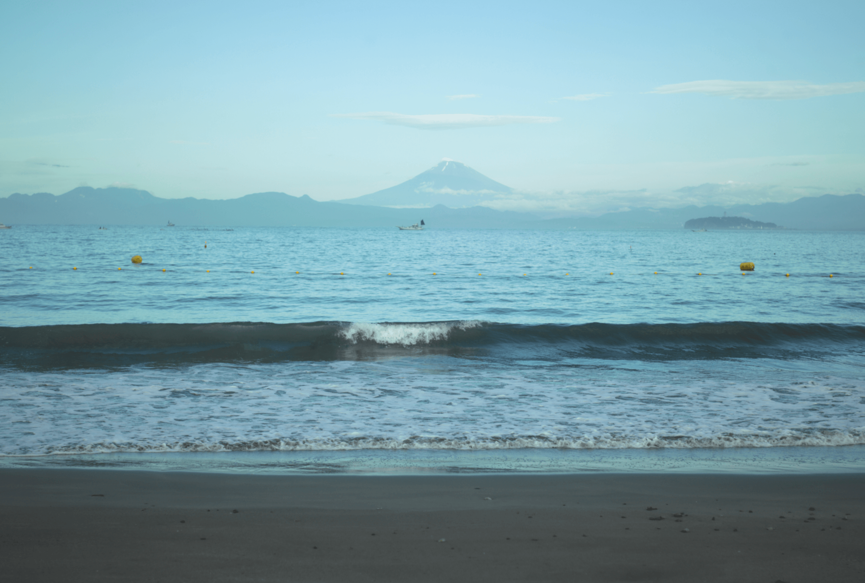 Picture of the author