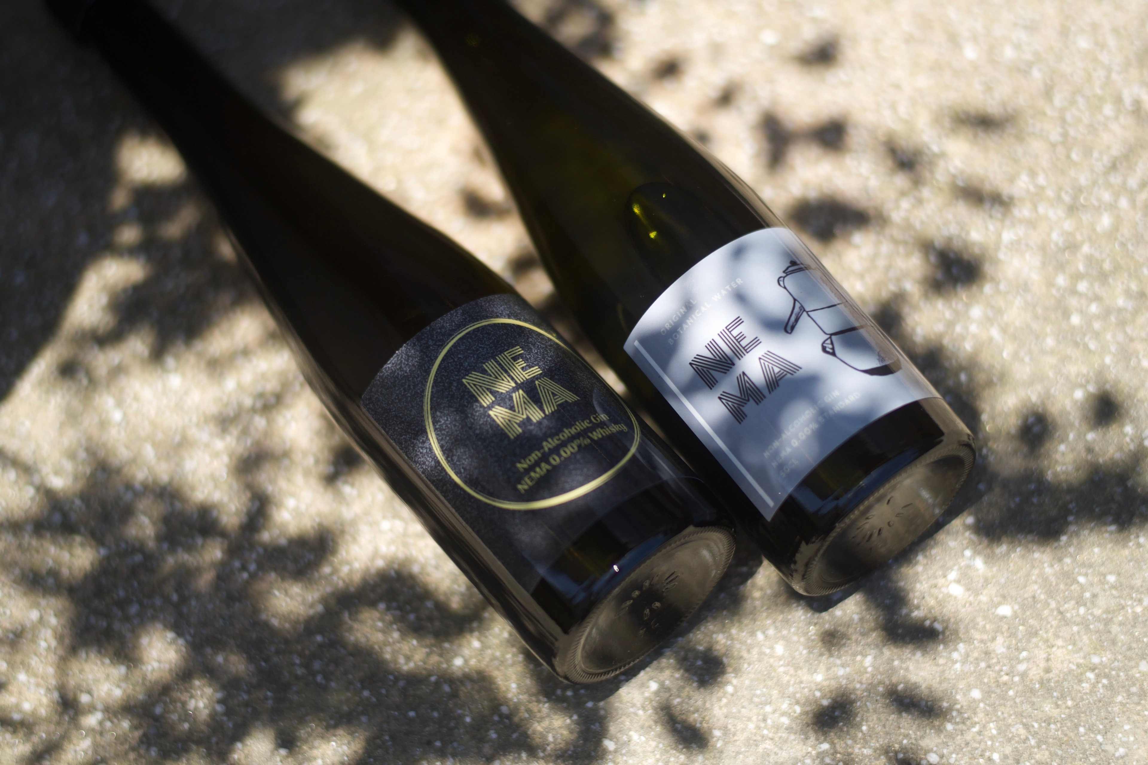 Picture of the author